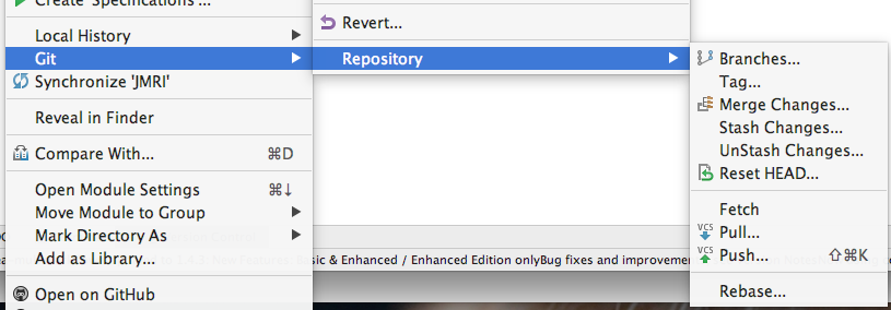 IntelliJ Project Git context menu