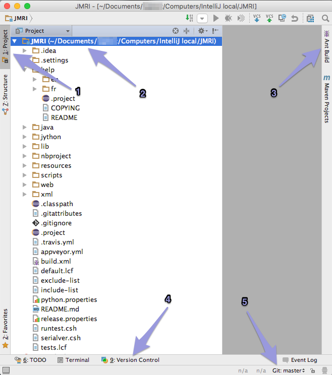 IntelliJ main project window